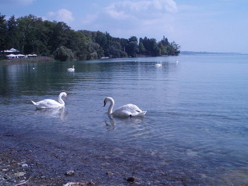 holiday in germany