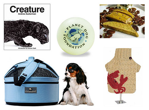 Pet's November Must Haves