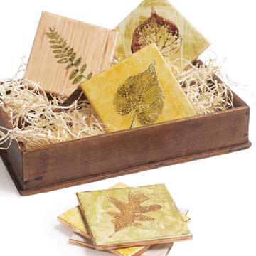 Autumn Crafts & Gifts