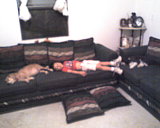 couch.. dog, kid, dog.... nice