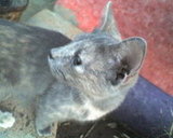 she´s a poser