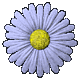 nekineki