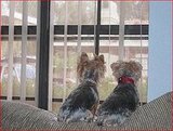 Wally & Penny