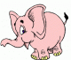 pinkelephant