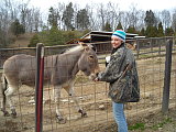 Zebra + Donkey = Zonkey...so cute Zebra + Donkey = Zonkey...so cute
