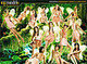 America's Next Top Model Cycle 6 Quiz