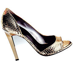 Metalic Snakeskin Shoe