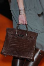 Hermes Spring 2008 (The Bag Snob)