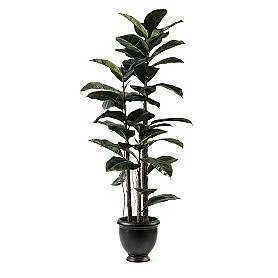 Faux Rubber Tree at World Market