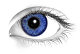 writerchic373
