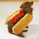 Mustard or Ketchup?