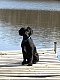 kayaker117