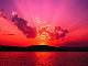 pinkflake2