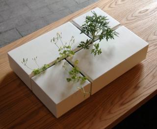 Love It or Hate It? Interior Weeds Planter