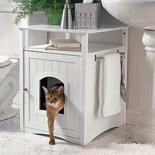 Love It or Hate It?  Kitty Washroom