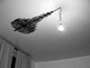 Crave Worthy: Ugly Home Lustre Sticker