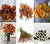 Organic Bouquet Quiz NOW OVER