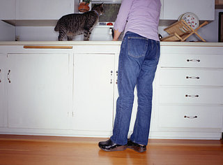 Open House:  Pets and Your Home