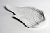 Love It or Hate It? Bird's Wing Dish