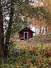 Fab Fall Photos:  Twinkle's Finland