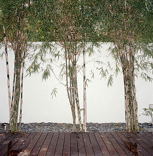 Casa Quiz: Sustainable