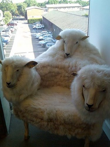 Weird Furniture: Things That Make You Go Ew(e)