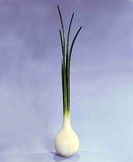 Weird Furniture:  Scallion Coat Rack