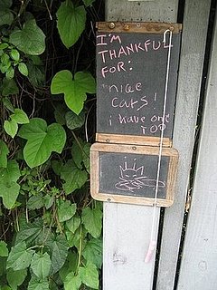 Midday Muse:  Front Walk Whimsy