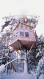 Midday Muse: Treehouse Holiday Midday Muse: Treehouse Holiday