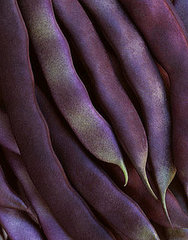 Photographer to Watch: Ron van Dongen Photographer to Watch: Ron van Dongen