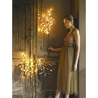 Casa Craving Recap: Party Lighting