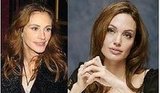 do you agree with Julia Roberts angelina Jolie  is stupid?