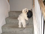 taking it upstairs
