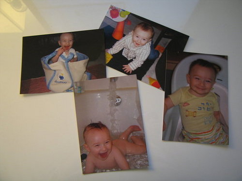 Moo Postcards