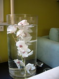 Orchid in a vase filled with water...my new fave decorating idea. Orchid in a vase filled with water...my new fave decorating idea.