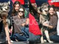 Drew Must Love Dogs