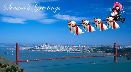 Happy Holidays
