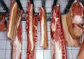Calling All You Carnivores!