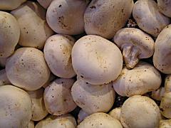 BJ's Recalls Mushrooms: More E. Coli? BJ's Recalls Mushrooms: More E. Coli?