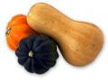 The Wonders of Winter Squash