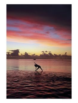 What's Keeping You From Trying Yoga?