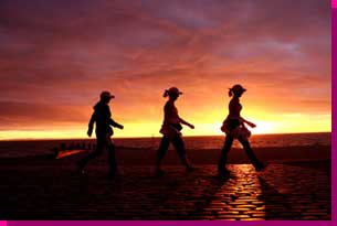 MoonWalk - Uniting Against Breast Cancer