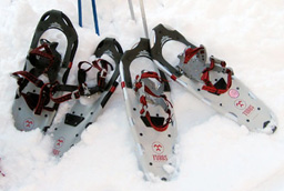 If You Can Walk, You Can Snowshoe