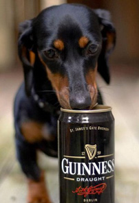 Beer Breakdown