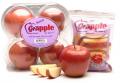 Grapple: Say "Grape-L"