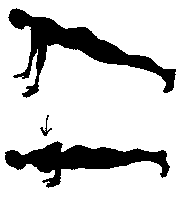 The Seven Most Effective Exercises