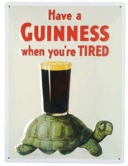 turtle turtle