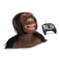Product of the Day: Remote Controlled Chimp