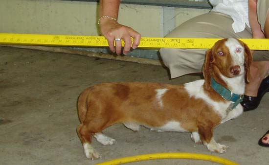 Friday's Pet of the Week!