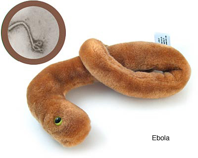 ebola ebola